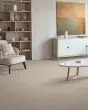 Delicate Feature SmartStrand Pattern Carpet