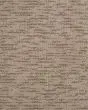 Delicate Tradition Kashmere Nylon 45oz Carpet