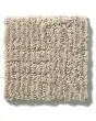 Diego Patterned Nylon 35oz Carpet