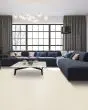 Diffurent Choice II 45oz Pet Friendly Carpet