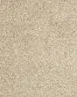 Diffurent Choice I 32oz Pet Friendly Carpet