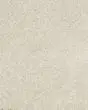 Diffurent Choice II 45oz Pet Friendly Carpet