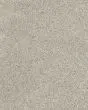 Diffurent Choice III 58oz Pet Friendly Carpet