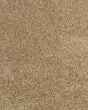 Diffurent Choice I 32oz Pet Friendly Carpet