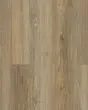Discovery Ridge SolidTech Essentials Brushed Beige Vinyl