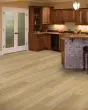 Discovery Ridge SolidTech Essentials Coffee House Tan