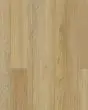Discovery Ridge SolidTech Essentials Coffee House Tan