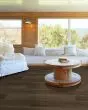 Distinction Plus Barrel Oak 7"x48" Luxury Vinyl