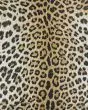 Dolce Amur Leopard New Gold 2'3"x3'11" Area Rug