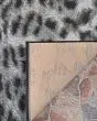 Dolce Lynx Ivory-Charcoal Area Rug