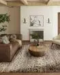 Denizi DZ6 Mocha Area Rug