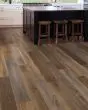 Explorers Cove SolidTech Select Shadow Woodlands Luxury Vinyl