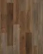 Explorers Cove SolidTech Select Shadow Woodlands Luxury Vinyl