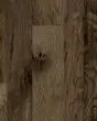 Nature's Canvas Silver Hickory Desert Hill Hardwood