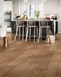Nature's Canvas Platinum White Oak Sunny Shade Hardwood