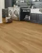 Pro-Tekt Classic Toffee Melt 5"x48" Waterproof Vinyl