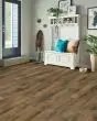 Pro-Tekt Trending Fall Favorite 7"x60" Waterproof Vinyl