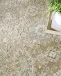 Envy EVV05 Mocha Area Rug