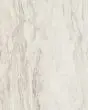 Evolution White Marble Porcelain Tile