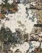 Evolution 981a Ivory/Multi Area Rug