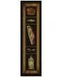 Excursion EX4 Black Area Rug