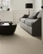 Fetch Pet Friendly Nylon 31oz Pattern Carpet