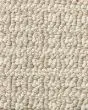 Fetch Pet Friendly Nylon 31oz Pattern Carpet