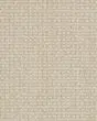 Fetch Pet Friendly Nylon 31oz Pattern Carpet