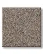 Flawless Beauty II Textured Pet Friendly Carpet