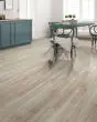 Founders Trace SolidTech Select Fossil Gray Luxury Vinyl