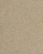 Canyon Ridge II 100% Wool 27oz Textured Carpet