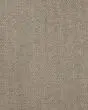 Carramar II 100% Wool Textured 46oz Carpet