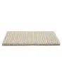 Enduring Statement SmartStrand 36oz Carpet