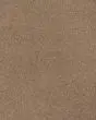 Opulent Tradition Textured Nylon 65oz Carpet