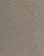 Luxurious Hues Textured SmartStrand 55oz Carpet