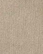True North Patterned Nylon Blend Carpet