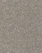 Novel Flair Textured 52oz Carpet