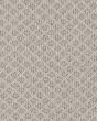Xpressions Patterned Smartstrand 30oz Carpet