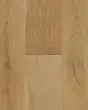 Nature's Canvas Gold Bay Charm Hickory Hardwood