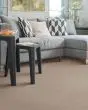 Gentle Quality Kashmere Nylon Carpet