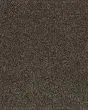 Gentle Quality Kashmere Nylon Carpet