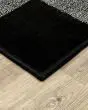 Georgia 678d Black/Ivory Area Rug
