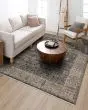 Echo Grasole Denim Area Rug