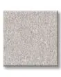 Hard At Play I 39oz Textured Carpet