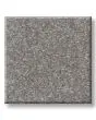 Hard At Play III 68oz Textured Carpet