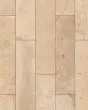 Hudson Valley Champagne Porcelain Tile