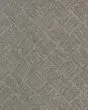 Inspired Glamour SmartStrand Carpet