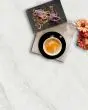 Ivoritaj Brushed Quartz Countertop