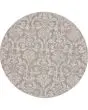 Jubilant JUB09 Grey Area Rug