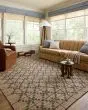 Judy JUD-05 Natural/Graphite Rug